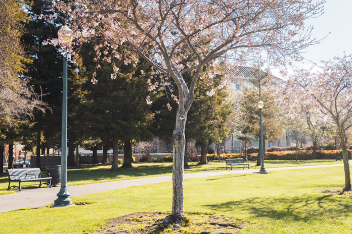 An artsy spring hits downtown Hayward