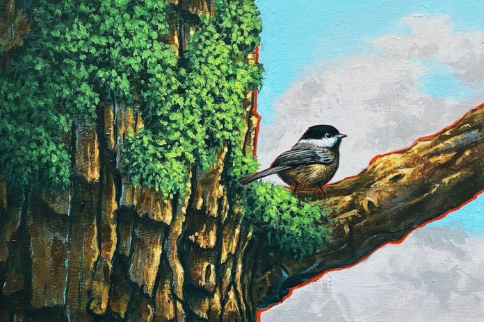 Thomas Cory demos ‘Painting Birds in Acrylic’