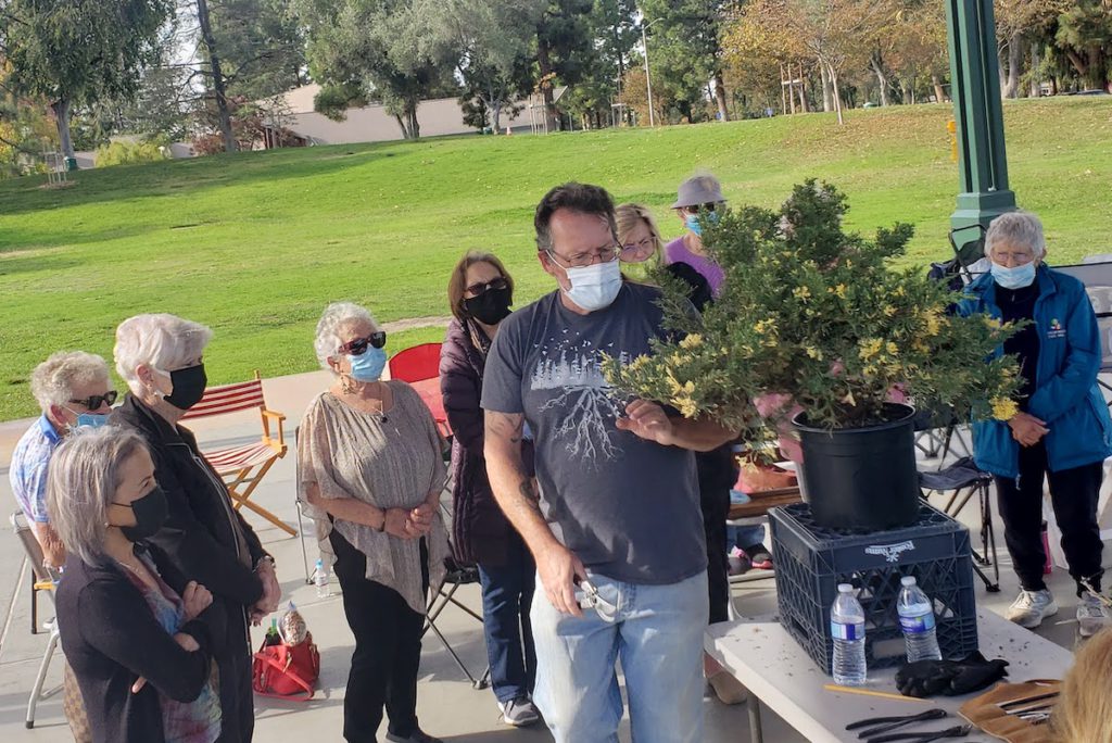 Past guest speakers have included a bonsai artist. Photo courtesy of George Crozier