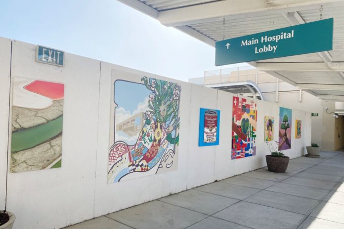 New art arrives at Washington Health