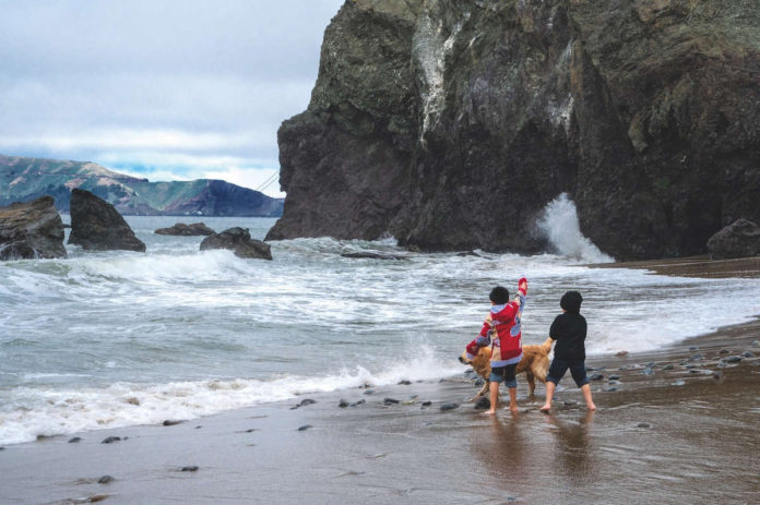 California charts a course for ocean leadership