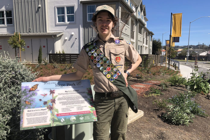 Eagle Scout project builds native garden with help from Forestr.org