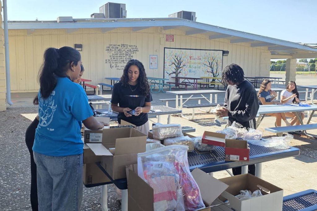 Scouts from Troop 2220 came out to help with the project. Srividya Sabhanayakam